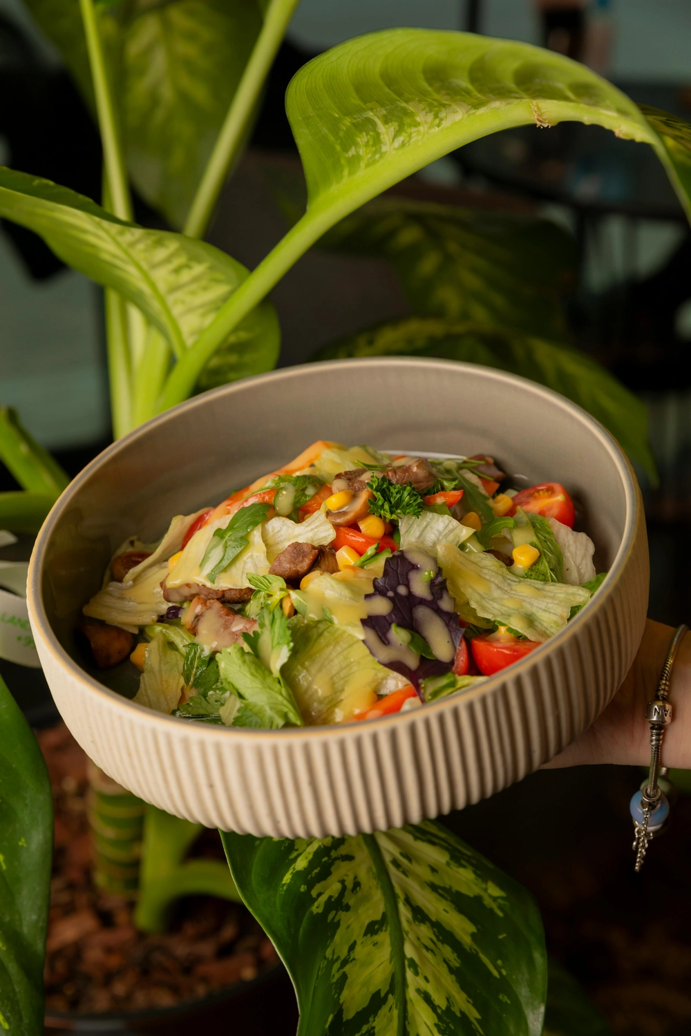 Marifet – Gastronomie – Salat